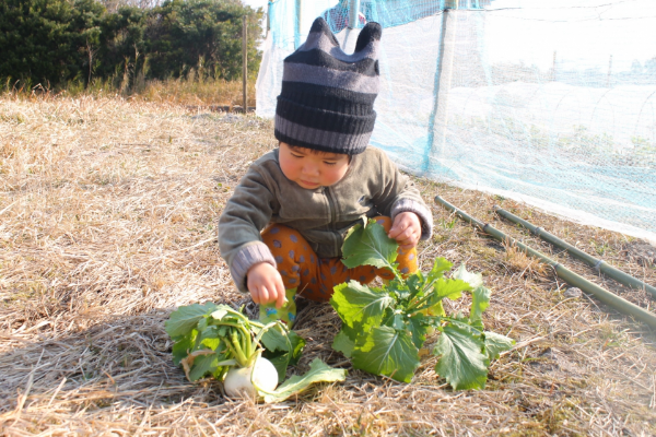 植えたいものは何かな？