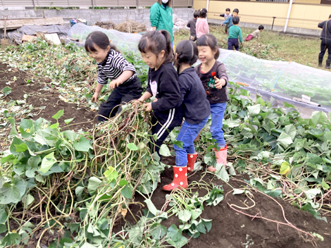 立川かしの木幼稚園 園長先生・採用担当からのメッセージ