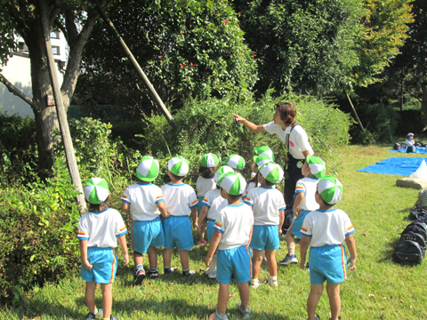 学校法人厚木田園学園 