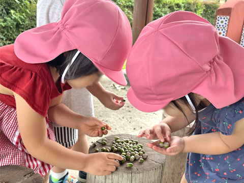 社会福祉法人那須若葉会（とようら保育園・ひばりヶ丘保育園） 園長先生・採用担当からのメッセージ