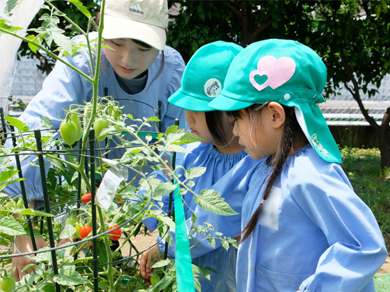 学校法人古庄学園 ふちえ幼稚園